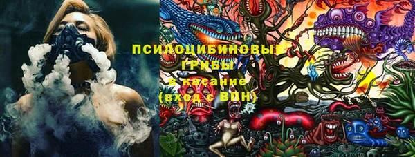 ПСИЛОЦИБИНОВЫЕ ГРИБЫ Володарск