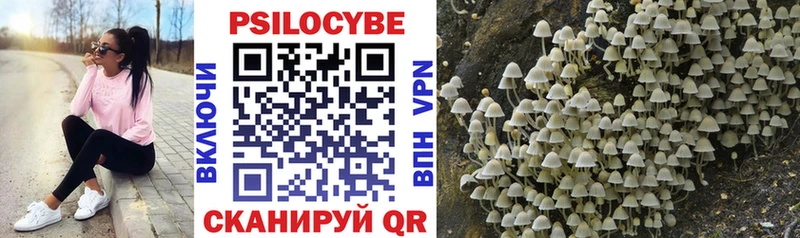 Купить закладки  Бийск  Галлюциногенные грибы Psilocybe 